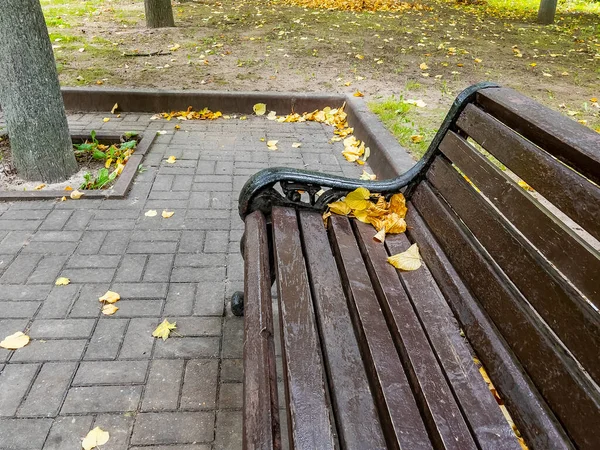 Bank Mit Gelben Blättern Auf Dem Herbstboulevard — Stockfoto