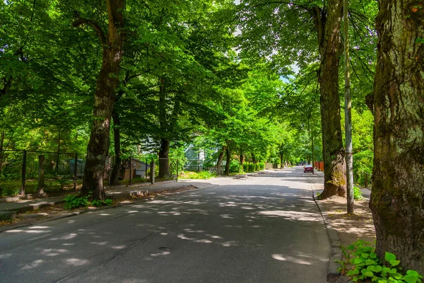 Kaliningrad Russland Juni 2021 Die Malerische Straße Historischen Teil Der — Stockfoto