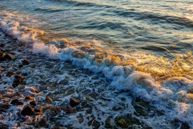 Deniz manzarası. Gün batımında dalgalar ve köpüklerle sörf yapmak. Doğa arkaplanı