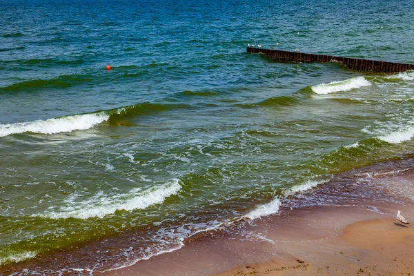 Морской Пейзаж Серфинг Волнами Пеной Природа — стоковое фото