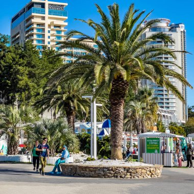 Sochi, Rusya, 21 Ekim 2021. Güneşli bir sonbahar gününde tipik şehir manzarası. Toprakta tropikal bitkiler