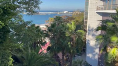 Deniz kıyısındaki resimli tropikal bitkiler