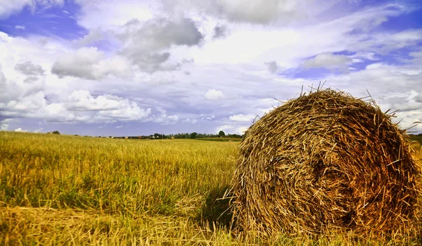 Ländliche Landschaft — Stockfoto