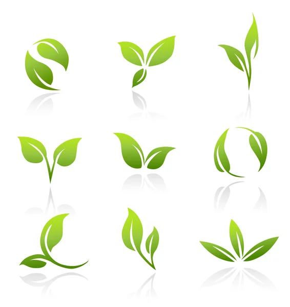 Ícones vetoriais - Folhas verdes —  Vetores de Stock