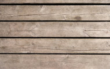 rompecabezas de madera oso