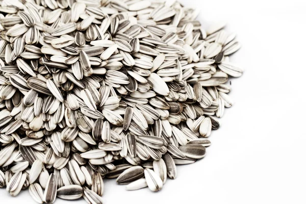 Sunflower seed — Stock Photo, Image