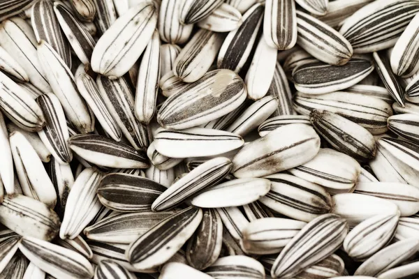 Sunflower seeds — Stock Photo, Image