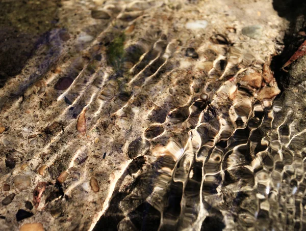 L'eau au bord de la rivière — Photo