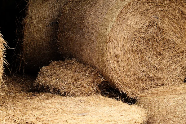 Fardos de feno em um campo (detalhe  ) — Fotografia de Stock