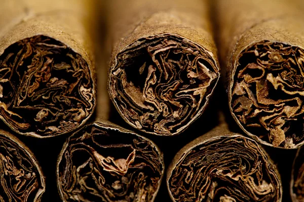 Cigarros — Foto de Stock