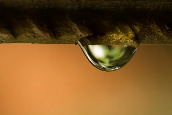 Gotas de agua en alambre — Foto de Stock