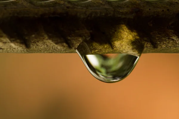 Gotas de agua en alambre — Foto de Stock