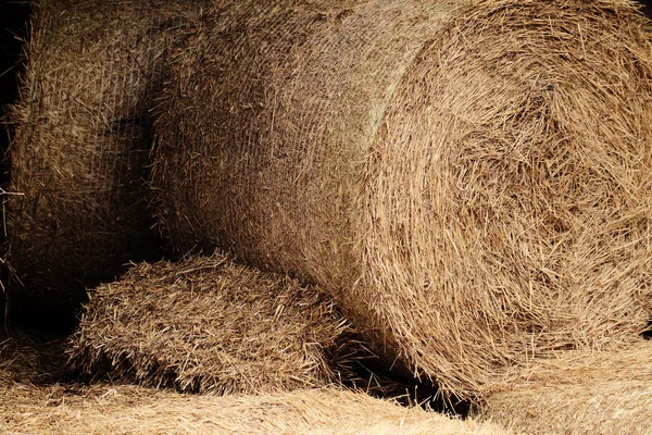 Hooibalen in een veld (detail ) — Stockfoto