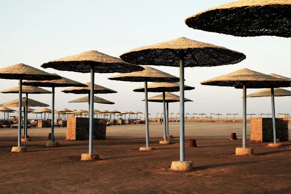 Sonnenschirme am Strand - Ägypten — Stockfoto