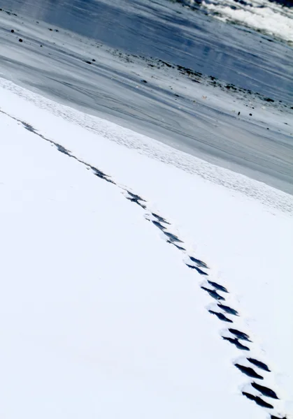 Schritte auf dem Schnee — Stockfoto