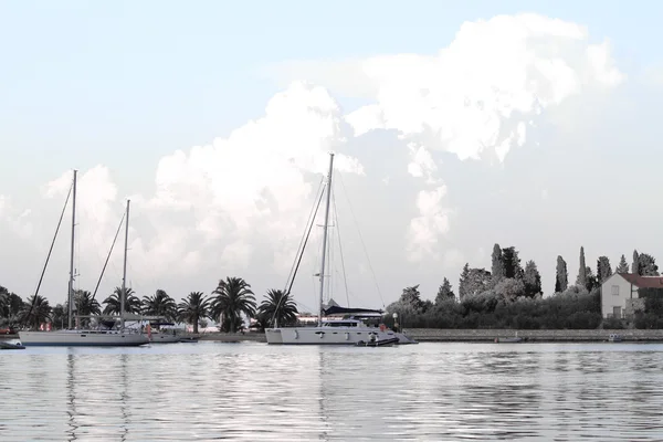 Witte jachten op een anker in de haven van — Stockfoto