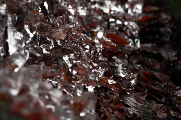 Ice macro — Stock Photo, Image