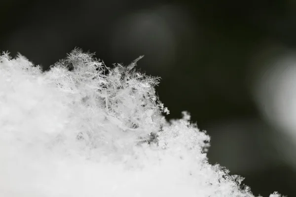 Floco de neve na neve branca — Fotografia de Stock