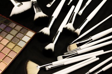 koyu arka planda makyaj fırçaları