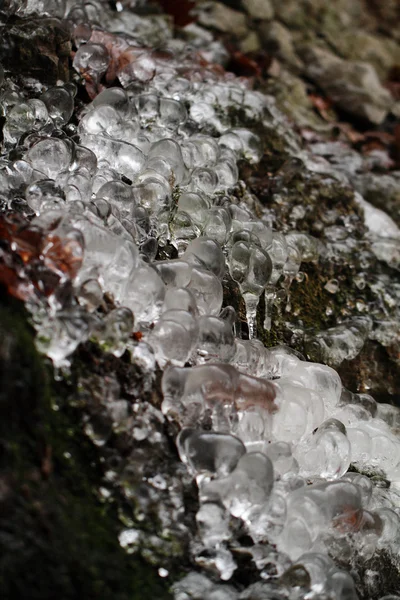 Ледяной макрос — стоковое фото