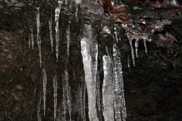 Eiszapfen auf dunklem Hintergrund — Stockfoto