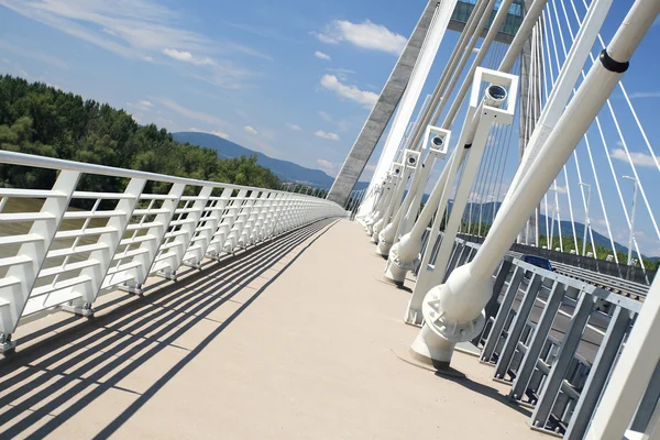 Detail der Brücke (ungarisch)) — Stockfoto