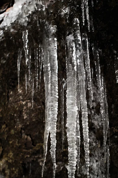 Icicles on dark background — Stock Photo, Image