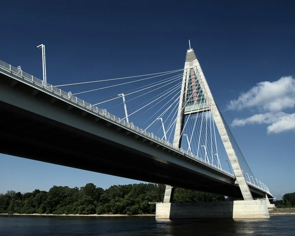 Detail van de brug (Hongarije) — Stockfoto