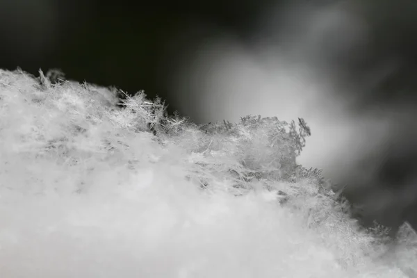 Snöflinga i vit snö — Stockfoto