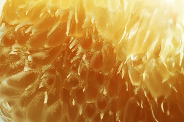 Textur des Pamelo-Fruchtfleisches — Stockfoto