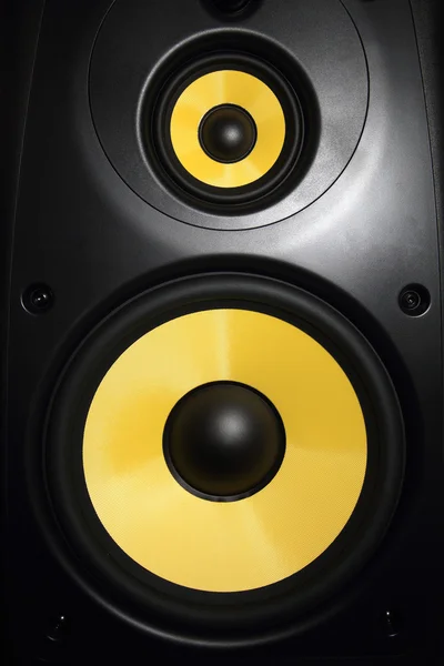 Speaker — Stock Photo, Image