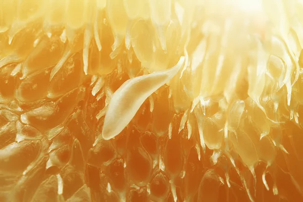 Textuur van pamelo pulp — Stockfoto
