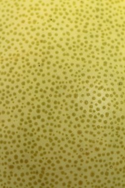 pamelo - egzotik narenciye meyve