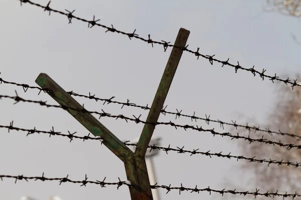 Stacheldraht — Stockfoto