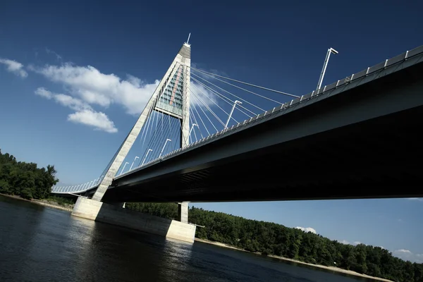 Detalj av bron (Ungern) — Stockfoto