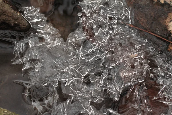 Macro hielo — Foto de Stock