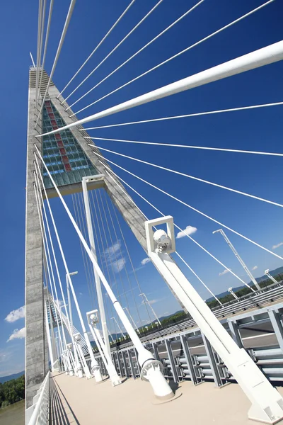 Detail der Brücke (ungarisch)) — Stockfoto