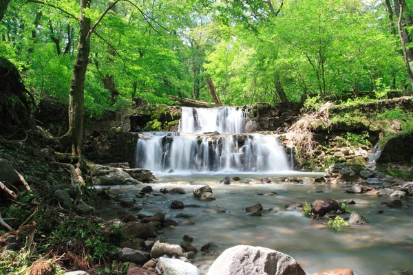 Água nas rochas para a floresta — Fotografia de Stock