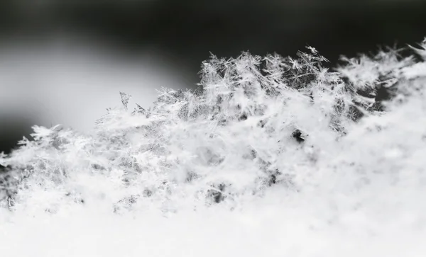 Floco de neve na neve branca — Fotografia de Stock