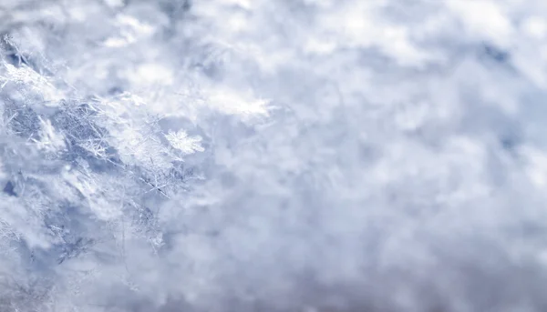 Copo de nieve en nieve azul —  Fotos de Stock