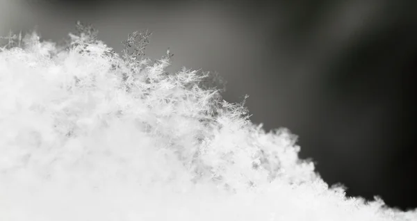 Sneeuwvlok in witte sneeuw — Stockfoto
