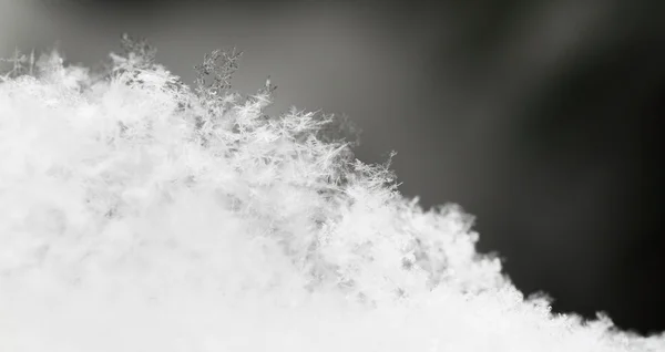 雪花在白雪中 — 图库照片