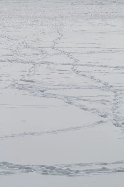 雪の上の足跡 — ストック写真