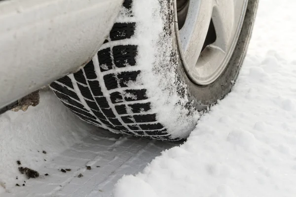 Neumático de invierno — Foto de Stock