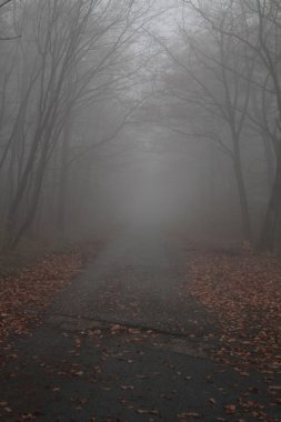 yol sisli