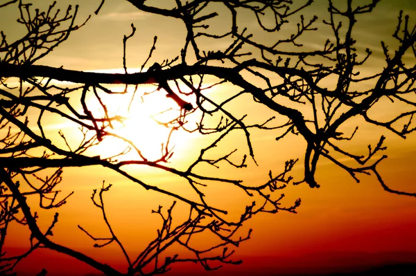 美しい日光 — ストック写真