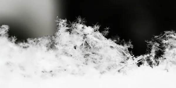 Snowflake in white snow — Stock Photo, Image