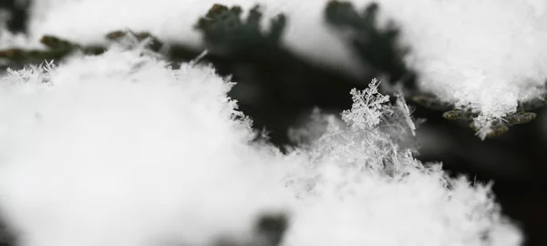 Snowflake in white snow — Stock Photo, Image