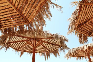 plaj şemsiye - Mısır