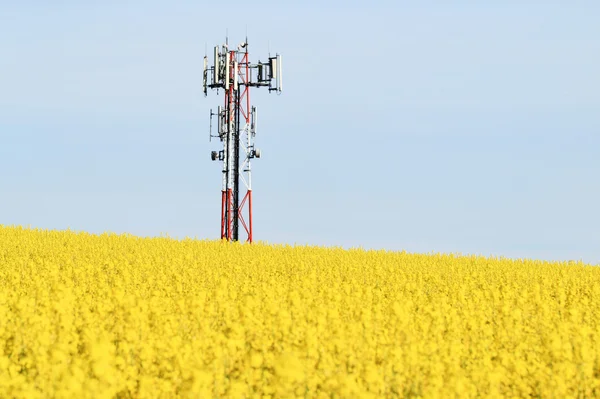 GSM sändare på ett fält — Stockfoto